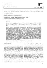 Image result for Ocimum minutiflorum