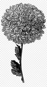 Clipart picture of flowers black and white, hd png download. Yellow Flower Clipart Tumblr Transparent Black And White Image Of Flowers Transparent Png Download 1290059 Pikpng