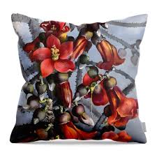 Image result for Bombax