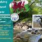 Forest Bathing event image