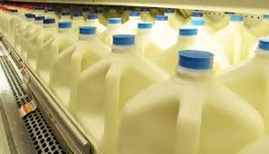 Lait dangereux pour la sant?. Pourquoi Le Lait De Vache Est Si Mauvais Pour La Sante Vous Aurez Du Mal A Le Croire