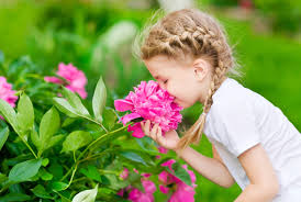 What are the best scented flowers. Why Do Flowers Smell Flowers That Smell Good Petal Talk