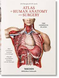 Prepare for the dissection lab and operating room with anatomy: 100 Best Anatomy Books Of All Time Bookauthority