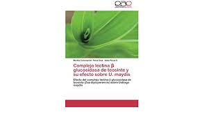 Algunos alimentos, como los frijoles y los cereales, deben cocinarse o fermentarse para reducir el contenido de lectina. Complejo Lectina B Glucosidasa De Teosinte Y Su Efecto Sobre U Maydis Efecto Del Complejo Lectina B Glucosidasa De Teosinte Zea Diploperennis Sobre Ustilago Maydis Amazon De Perez Diaz Martha Concepcion Perez S