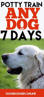 How To Potty Train Your Dog In 7 Days Or Less Good Doggies Online Puppy Potty Training Tips Potty Training Puppy Dog Training Obedience
