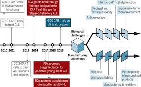 skillful fda organizational chart 2019