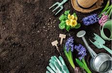 Linthicum Gardening Event and Plant Swap