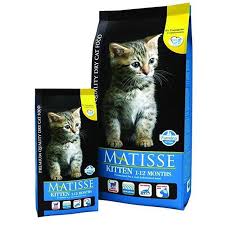 Matisse Kedi Mamasi