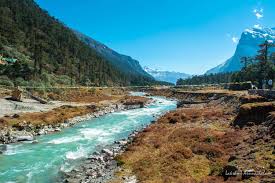Yumthang valley of flowers best time to visit. Yumthang Valley Guide A Jack And Master Of All Seasons