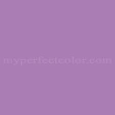 We did not find results for: Cloverdale Paint 7110 Happy Hyacinth Precisely Matched For Paint And Spray Paint