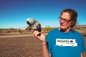 Nomadland is a 2020 american drama film written, edited, produced, and directed by chloé zhao. The True Story Behind Nomadland The Golden Globes Winner Movie Al Dia News