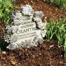 The quarrymen then use steel bits with steel teeth to cut away at the core of the rock. Herb Graveyard 10 Steps With Pictures Instructables