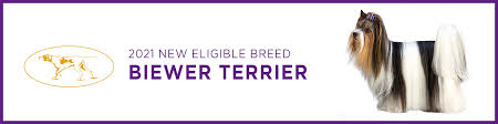 Check spelling or type a new query. Die Westminster Dog Show 2021 Heisst Neue Rassen Willkommen Haustiere Welt