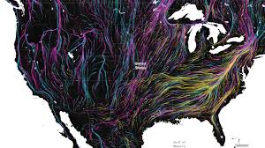 migration in motion visualizing species movements due to