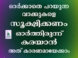 Pin By Faisal On Mfk Malayalam Quotes In My Feelings Quotes