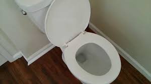 I contacted delta but no response. Delta Prelude Toilet Review Home Depot Youtube