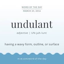 Merriam Webster On Instagram Wordoftheday Undulant Wotd Words English Dictionary Merriamwebster Undulant Words Words Matter Cool Words