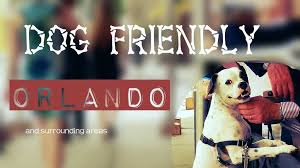 Search for other veterinary clinics & hospitals in apopka on the real yellow pages®. Dog Friendly Spots In Central Florida