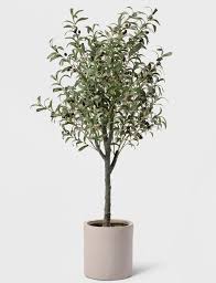 Maybe you would like to learn more about one of these? The Best Affordable Fake Plants For Those Of Us Who Just Can T With Watering Potted Olive Tree Faux Olive Tree Olive Tree Indoor