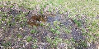 Allowing water to seep into your basement or crawlspace. Common Yard Drainage Problems And Diy Solutions Budget Dumpster