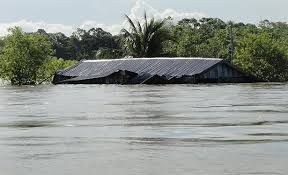 Die sanft schwingenden produkte garantieren perfekte entspannung. Amazonas Funfmal Haufiger Land Unter Klimaveranderungen Begunstigen Extrem Hochwasser Und Uberschwemmungen Scinexx De