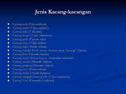 Kacang asli termasuk chestnut, pecan, dan hazelnut. Kacang Kacangan Dan Hasil Olahannya Ppt Download