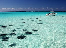 Check spelling or type a new query. The Cayman Islands Walking In A Water Wonderland New York Amsterdam News The New Black View