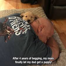 20 Photos To Remind You That Life Is Beautiful Cutesypooh Cutebabydogphotos Cute Animals Cute Funny Animals Funny Animals