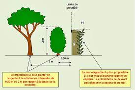 Un mur qui appartient à chaque voisin. Respecter Les Distances De Plantation Pro A Dom