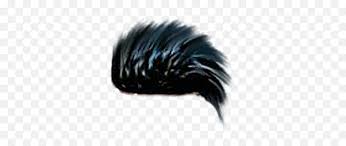 Now click on that button to get. Hd Cb Hair Png Zip File Free Download Porcupine Men Hair Png Free Transparent Png Images Pngaaa Com