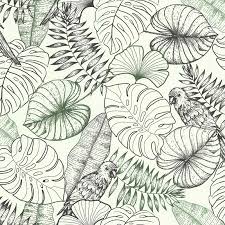 A partir de photographies, je crée des papiers peints (noir et blanc ou couleurs) en tracés vectoriels : Papier Peint Perroquet Graphique Vert Et Noir 51193409a De La Collection Papier Peint Sejours Chambres Lutece Papier Peint