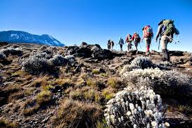 Climbing Mount Kilimanjaro In Tanzania Wsj