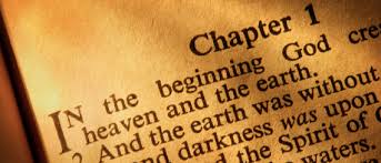 Image result for literal creationism