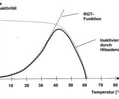 Enzymaktivierung, enzymaktivität, enzymatische prozesse, enzyme, temperaturabhängigkeit der enzyme, wirkungsweise von enzymen lehrprobe ist die enzymaktivität von der temperatur. Biologie Ef Enzymatik Karteikarten Quizlet