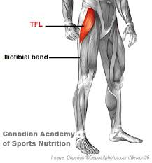 It's a good idea to make some iliopsoas tendonitis is inflammation of the iliopsoas tendon that runs over the edge of the pelvis and helps you. Hip Pain Tight Tensor Fasciae Latae