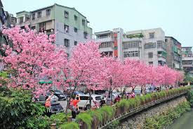 Search for text in self post contents. æ–°åŒ—å¸‚åœŸåŸŽå€æ—…éŠè¡Œç¨‹æŽ¨è–¦åœŸåŸŽå¸Œæœ›ä¹‹æ²³ è³žèŠ± æ¿å—ç·šæµ·å±±ç«™ åœŸåŸŽå·¦å²¸å¸Œæœ›ä¹‹æ²³ æ˜­å'Œæ«»ç››é–‹ å¸‚å€å°±èƒ½è³žæ«»èŠ± Walkerland Taipeiwalker Japanwalker Walkerland