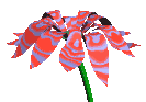 Images of animated fresh flower. Flower Free Animated Gif Images Download Flower Moving Clip Arts Download Animated Flower Clipart Gif Images Flower Animated Icons For Web Clipartsmania Com