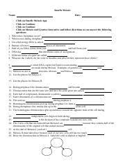 Snurfle Meiosis Another Ws Docx Name Class Date Snurfle Meiosis Click On Snurfle Meiosis App Click On Continue Click On Continue Click On Meiosis And Course Hero