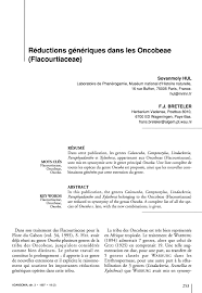 Image result for Caloncoba crepiniana