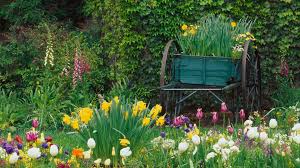 Pin On Garden Ideas
