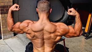 5 back exercises you should be doing
