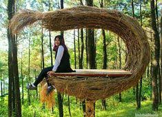 Idilis, terpencil, pohon pinus, pohon jenis konifera, hutan pinus, pembentukan, 5k. Noor Shafarina Noorshafarina7 Profile Pinterest