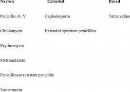 Image result for Extended Spectrum Penicillin