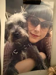 Has anyone used Mexivet Express for pet surgery?