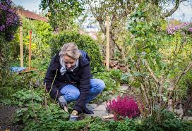 Die pacht für dieses jahr ist bezahlt, dennoch würde dieser garten uns geschenkt werden. Raus Aus Der Stadt Rein In Den Eigenen Schrebergarten Versicherungskammer Bayern