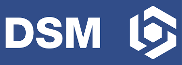 The mixing up and coming together of different kindred souls who all share a strong personal vision. Datei Dsm Logo Svg Wikipedia