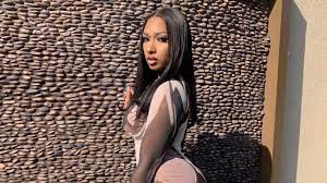 Yes i am still on my natural hair journey. Megan Thee Stallion Gives An Update On Her Hair Journey After Trying This Black Owned Brand Essence