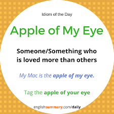 When you look at someone, their reflection appears in your pupil. Apple Of My Eye Meaning And Use Idiomoftheday English Phrases Idioms Interesting English Words English Vocabulary Words