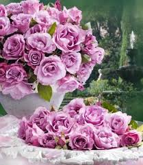 Dazu gartenhelfer, gartenmöbel, gewächshäuser und mehr. Parfum Rose Dioressence 1a Rosenpflanzen Bestellen Baldur Garten Rosen Pflanzen Blutenfarben Pflanzen
