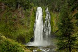 Access 365 trusted reviews, 38 photos & 69 tips from fellow rvers. 20 Best Oregon Waterfall Hikes Hike Oregon
